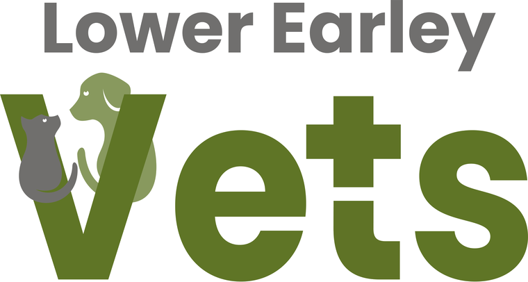 Lower Earley Vets